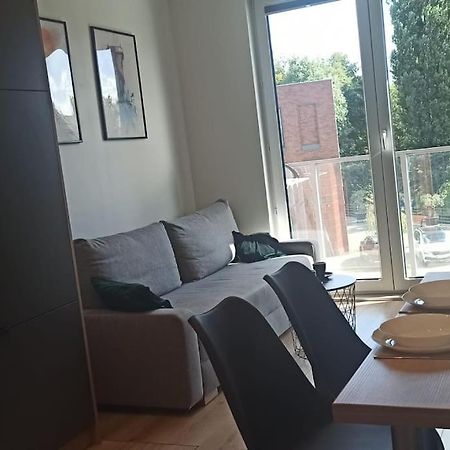 Apartament Nowa Stocznia 格但斯克 外观 照片