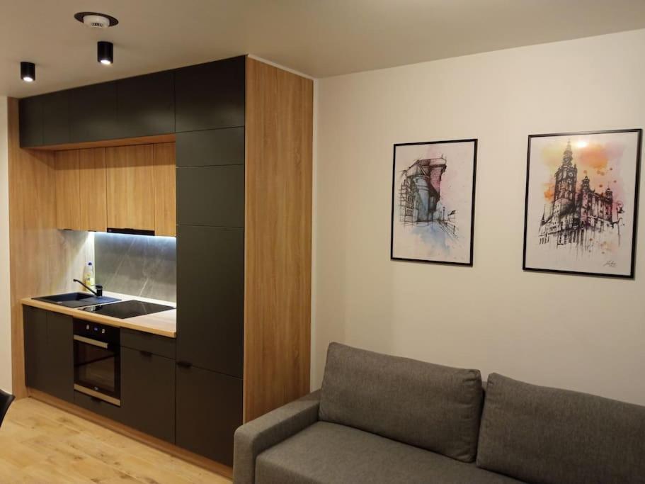 Apartament Nowa Stocznia 格但斯克 外观 照片