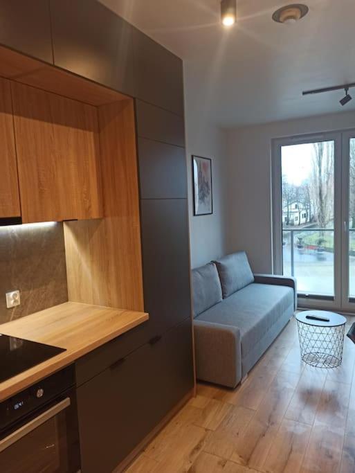 Apartament Nowa Stocznia 格但斯克 外观 照片