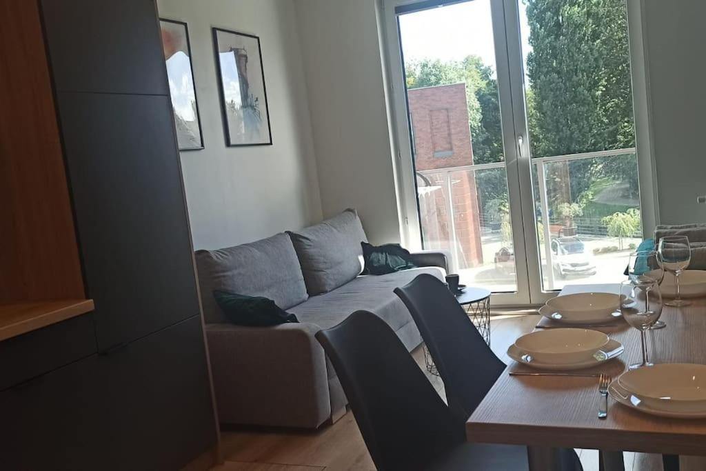 Apartament Nowa Stocznia 格但斯克 外观 照片